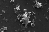 nanolime_102528.jpg